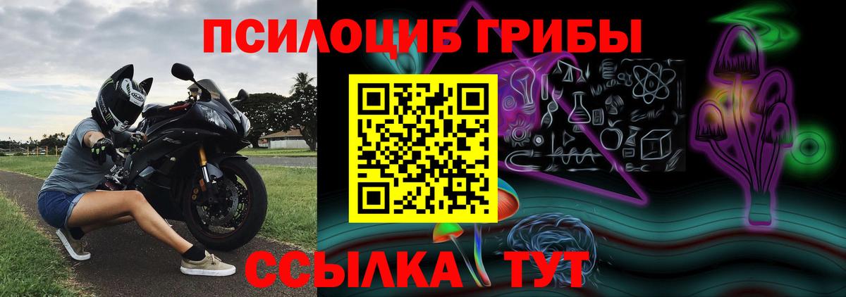 Псилоцибиновые грибы Psilocybe Кохма